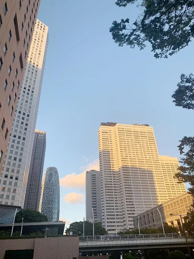 Nishi Shinjuku Apartment: Prime Location, 6-Min Walk to Metro Tokyo 0*,
